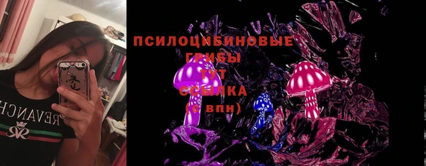 прущие крисы Верхний Тагил