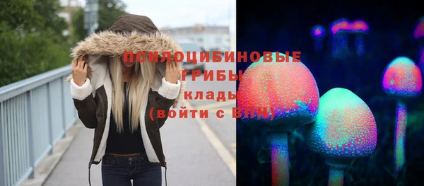 прущие крисы Верхний Тагил