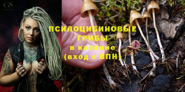 круглые Верея