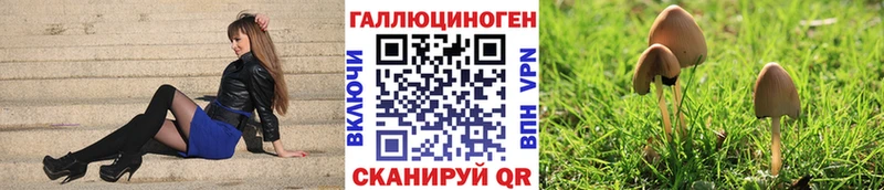 Псилоцибиновые грибы Cubensis  Кимовск 